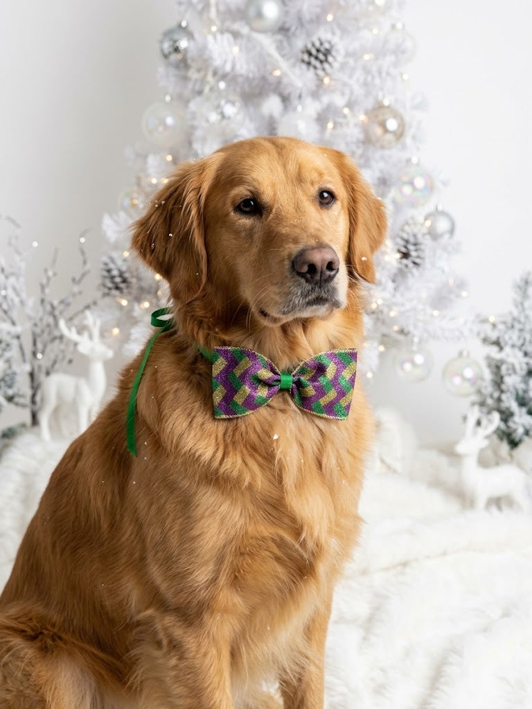 Paquete de moños para cuello navideños para mascota