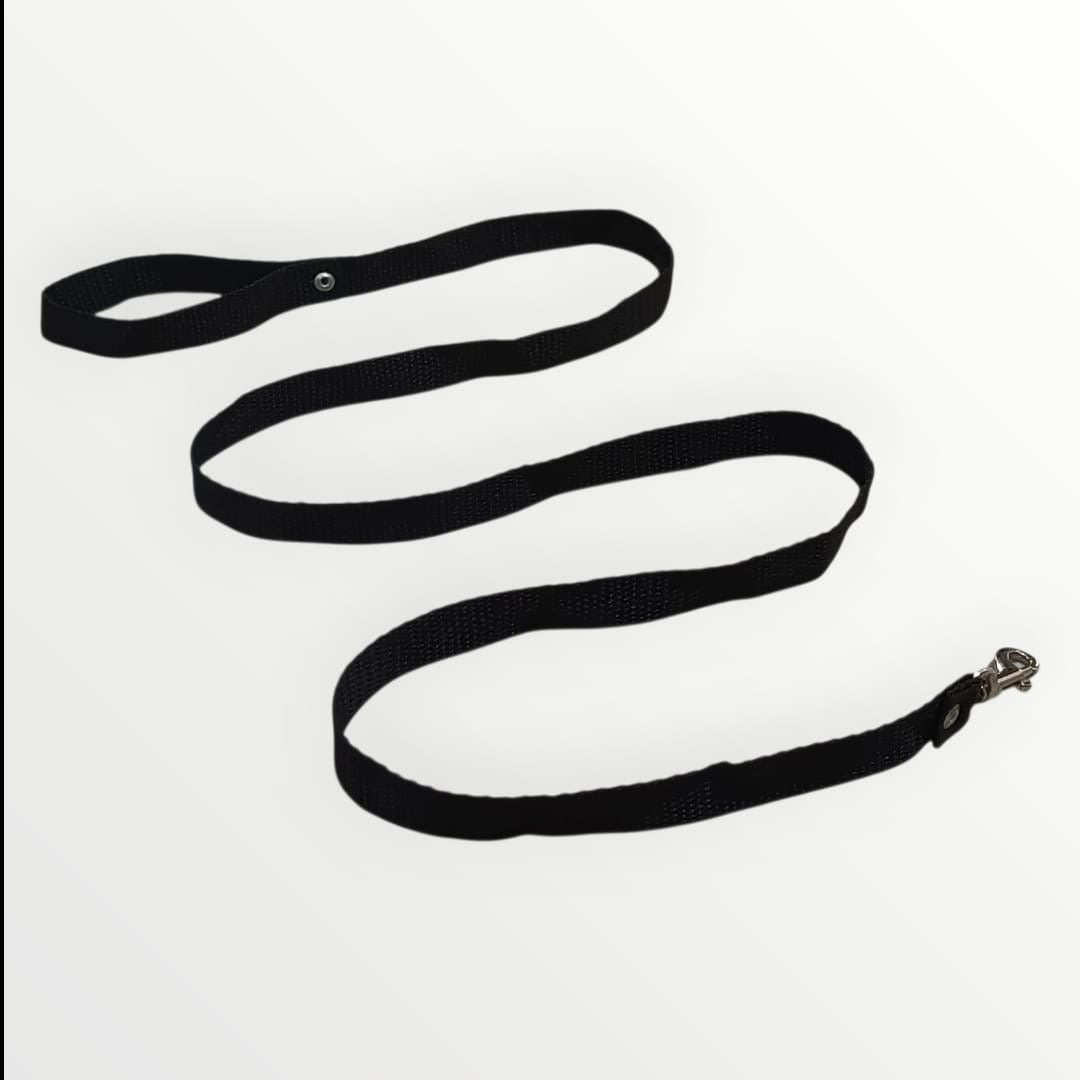 Correa nylon económica