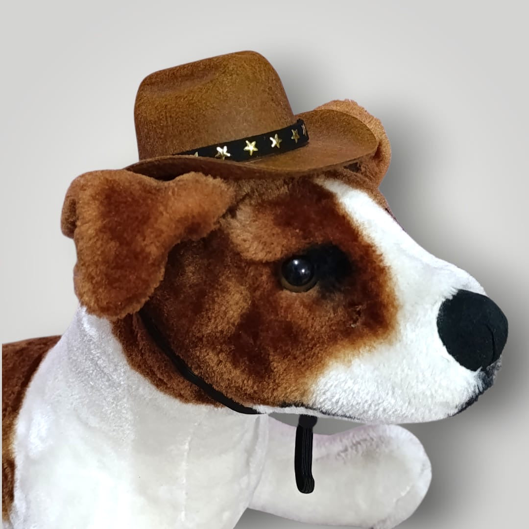 Sombrero vaquero para mascota