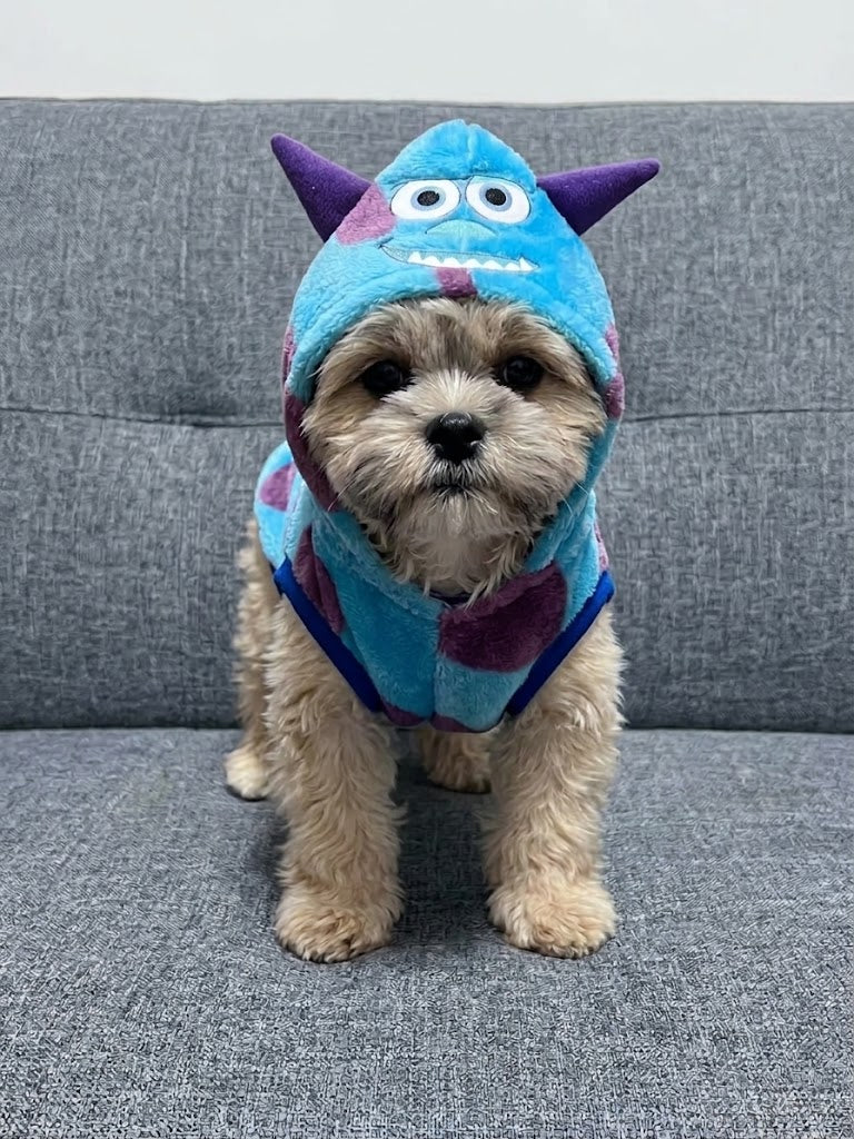 Suéter Sully Para Mascota