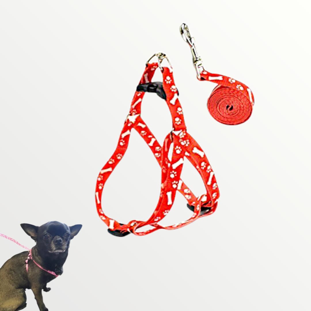 Pechera de listón para cachorro o gato