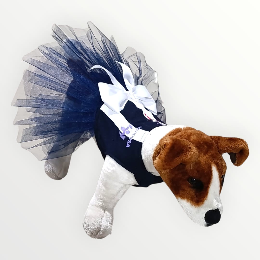 Vestido de Rayados MTY