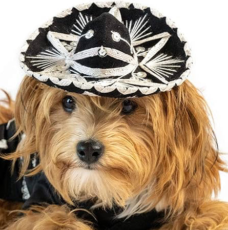 Sombrero charro unitalla
