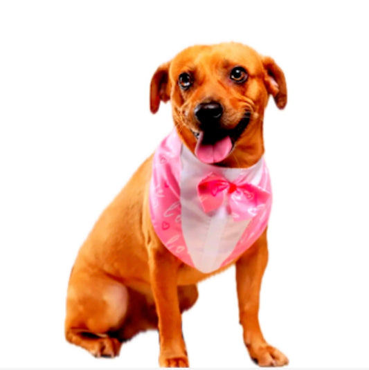 Bandana LOVE rosa