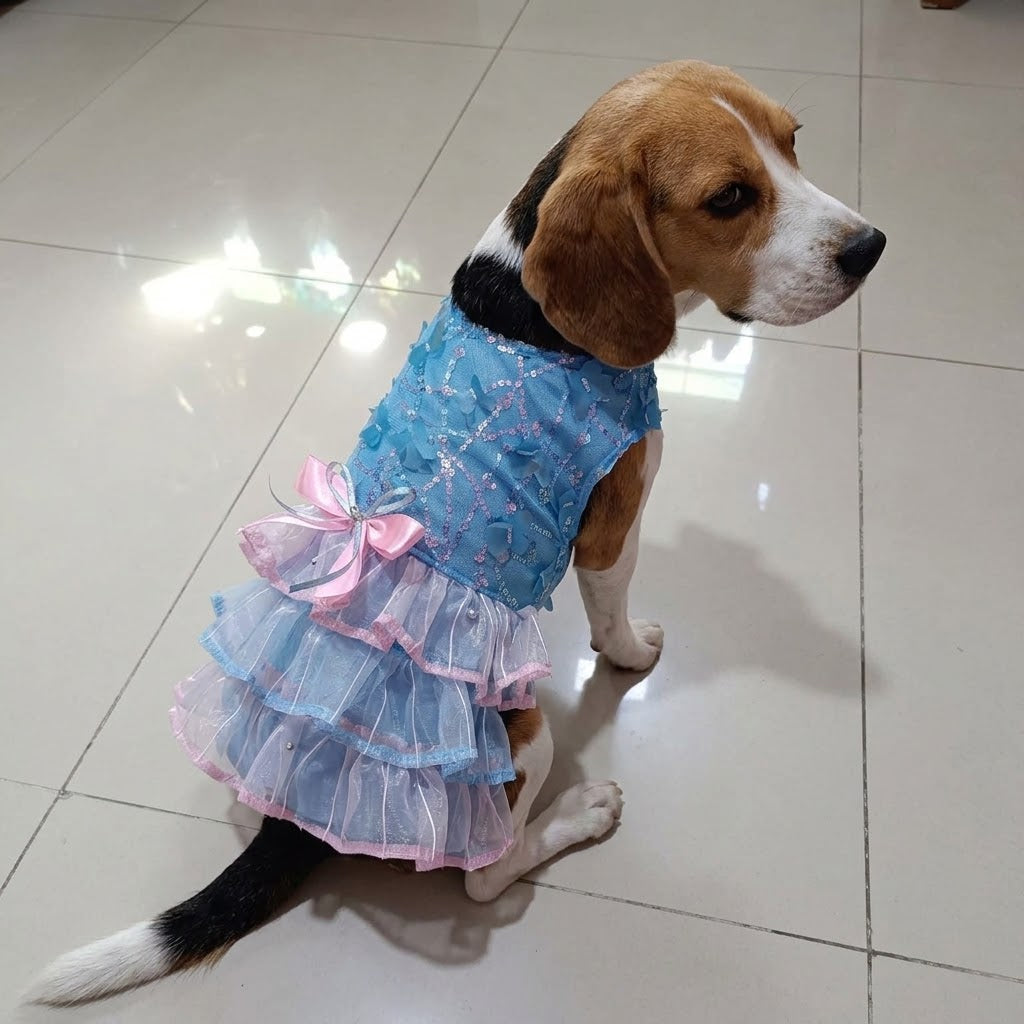 Vestido celeste de mariposas