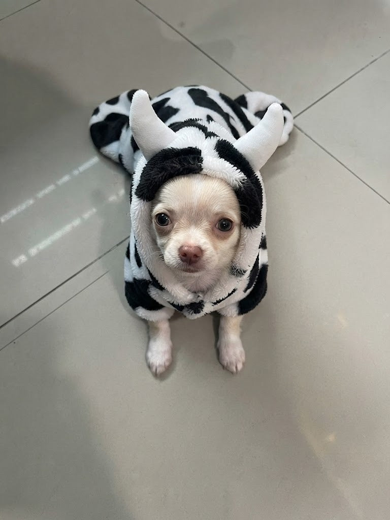 Pijama de vaca