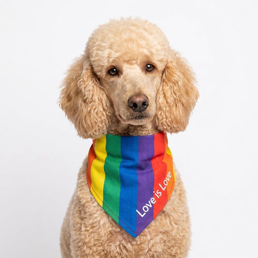 Bandana Pride para Perro ó Gato