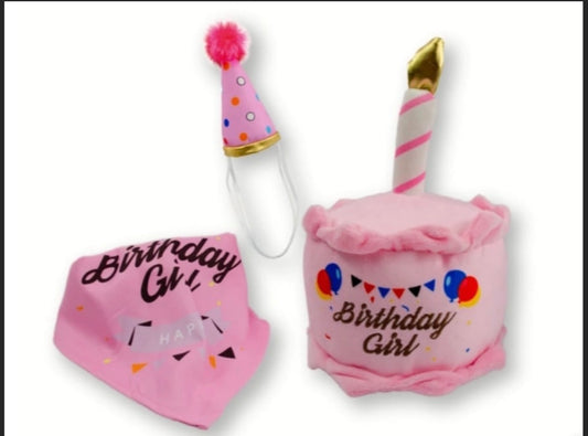 Kit de cumpleaños para mascota rosa