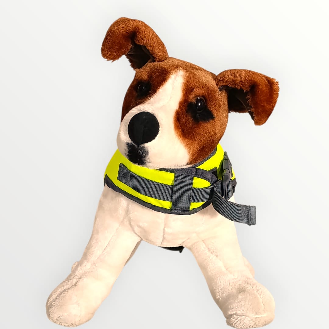 Chaleco Salvavidas para Perro