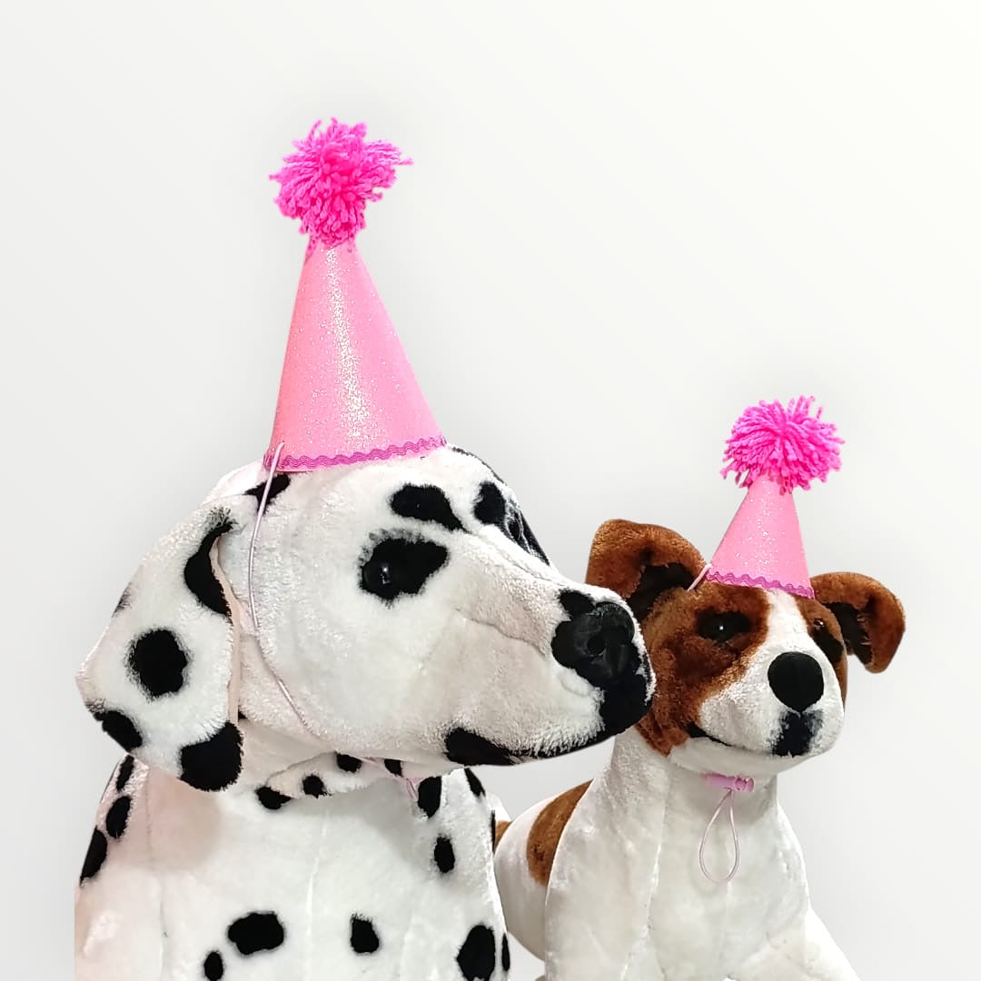 Gorro para mascota de cumpleaños