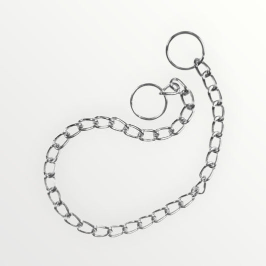 Collar de castigo para perro