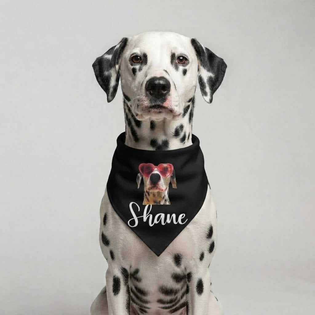 Paliacate Negro con el nombre y foto de tu mascota