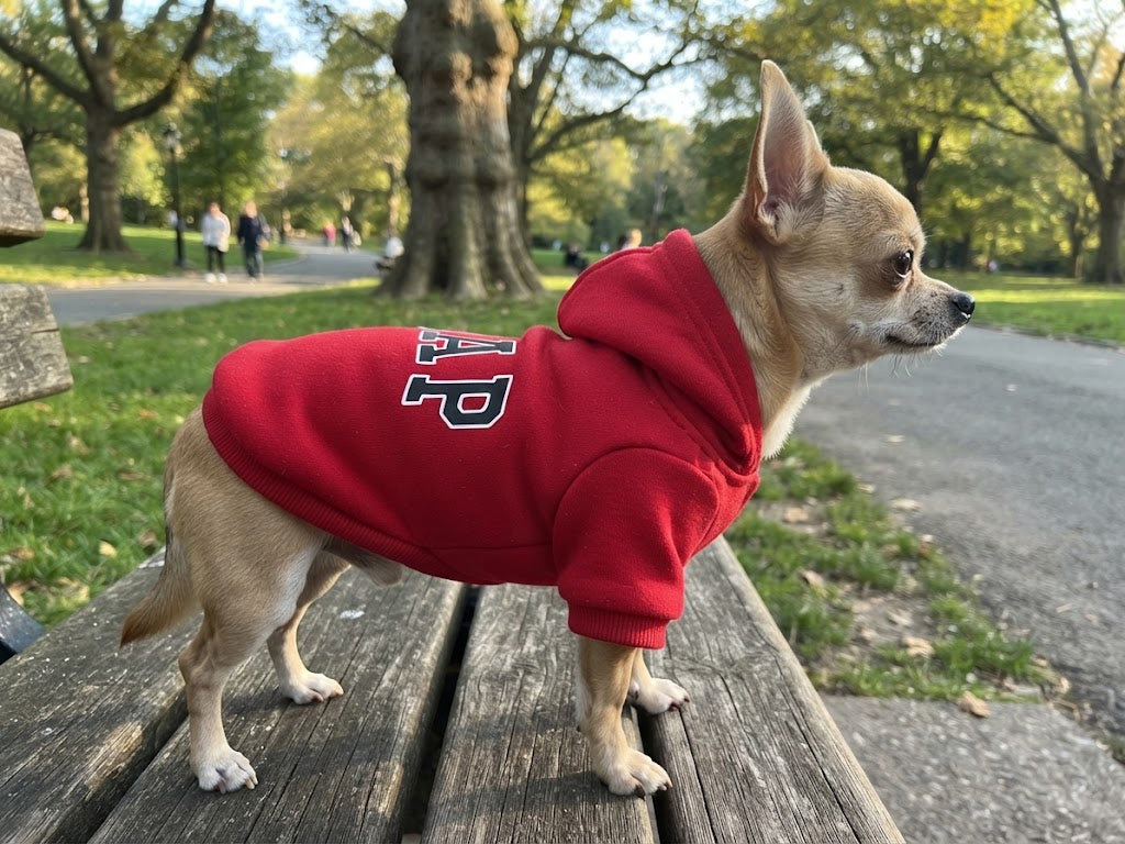 Sudadera Gap ROJO