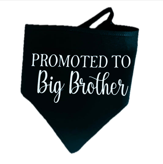 Paliacate Promoted to BIG BROTHER