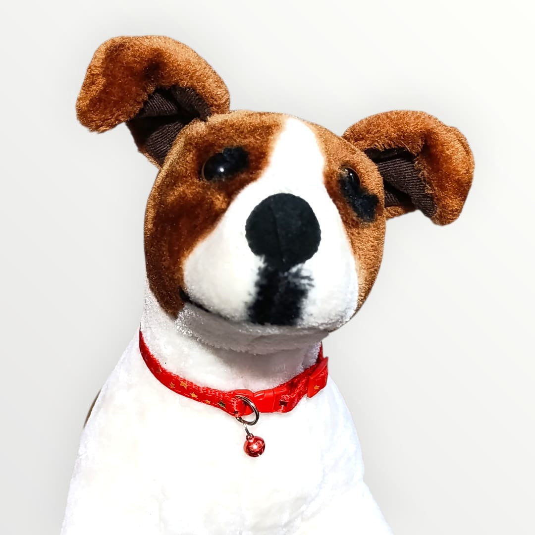 Collar sencillo estrellas