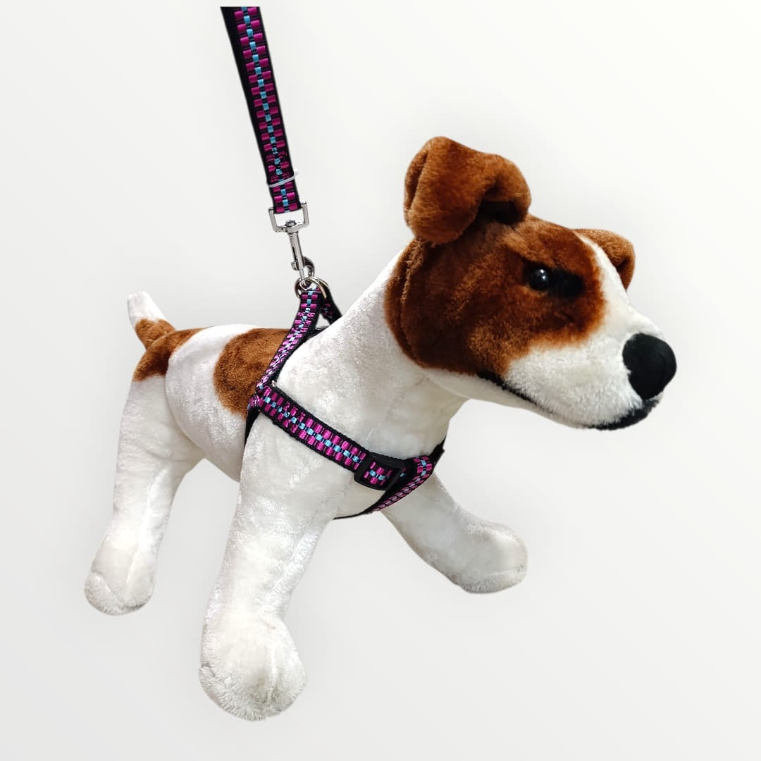 Pechera sencilla con correa