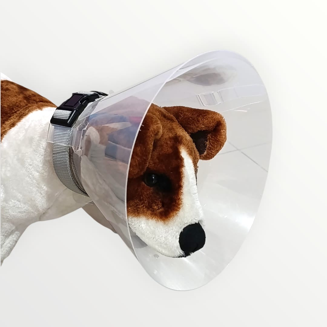 Cono isabelino para collar