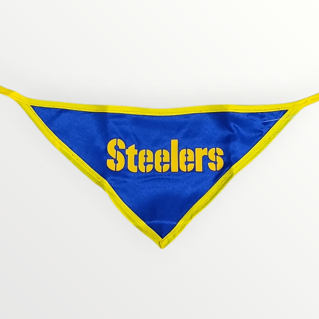 Paliacate NFL Steelers