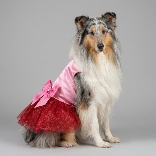 Vestido rosa con tutu rojo