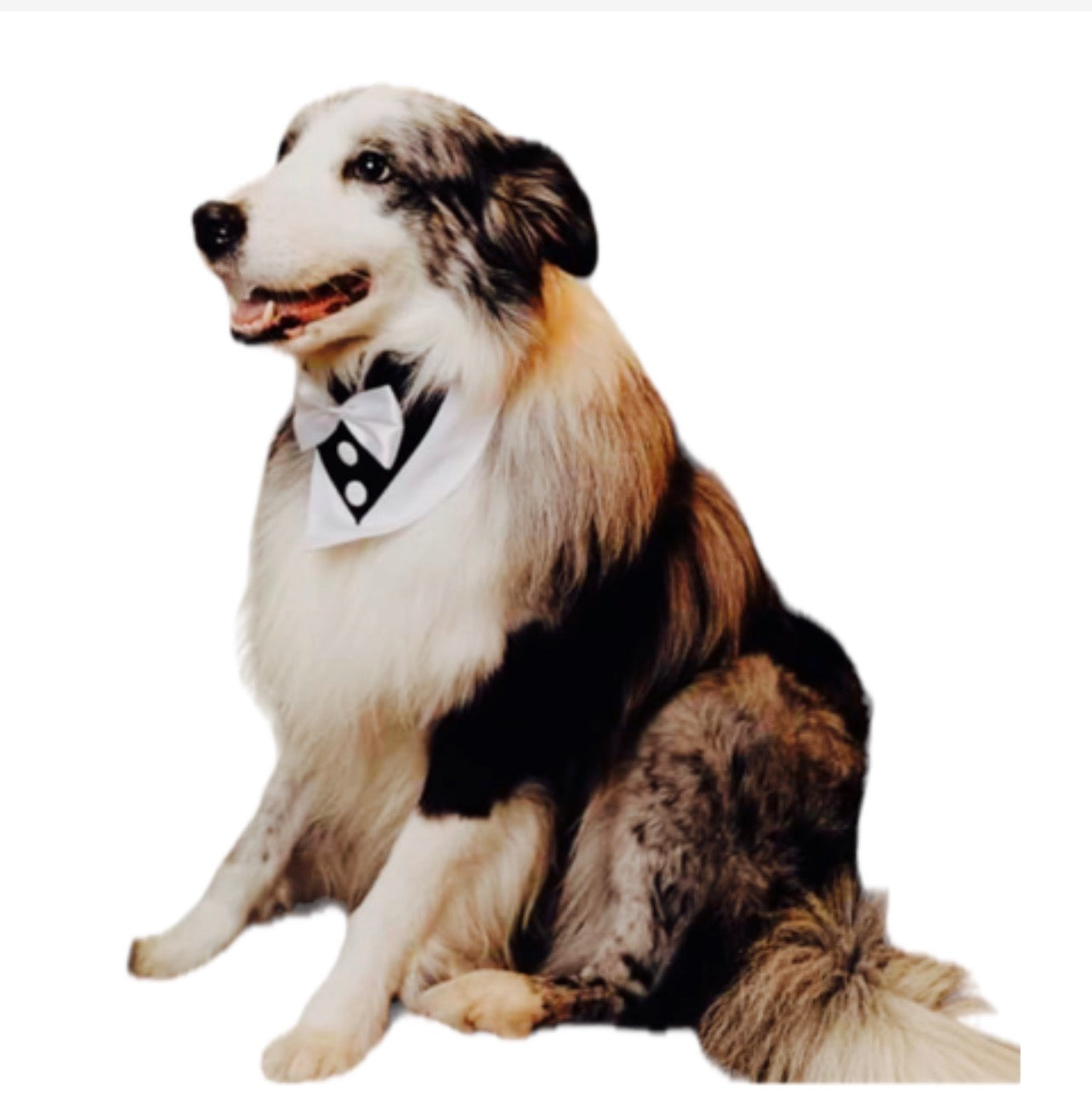 Bandana tipo Esmoquin para Perro ó Gato