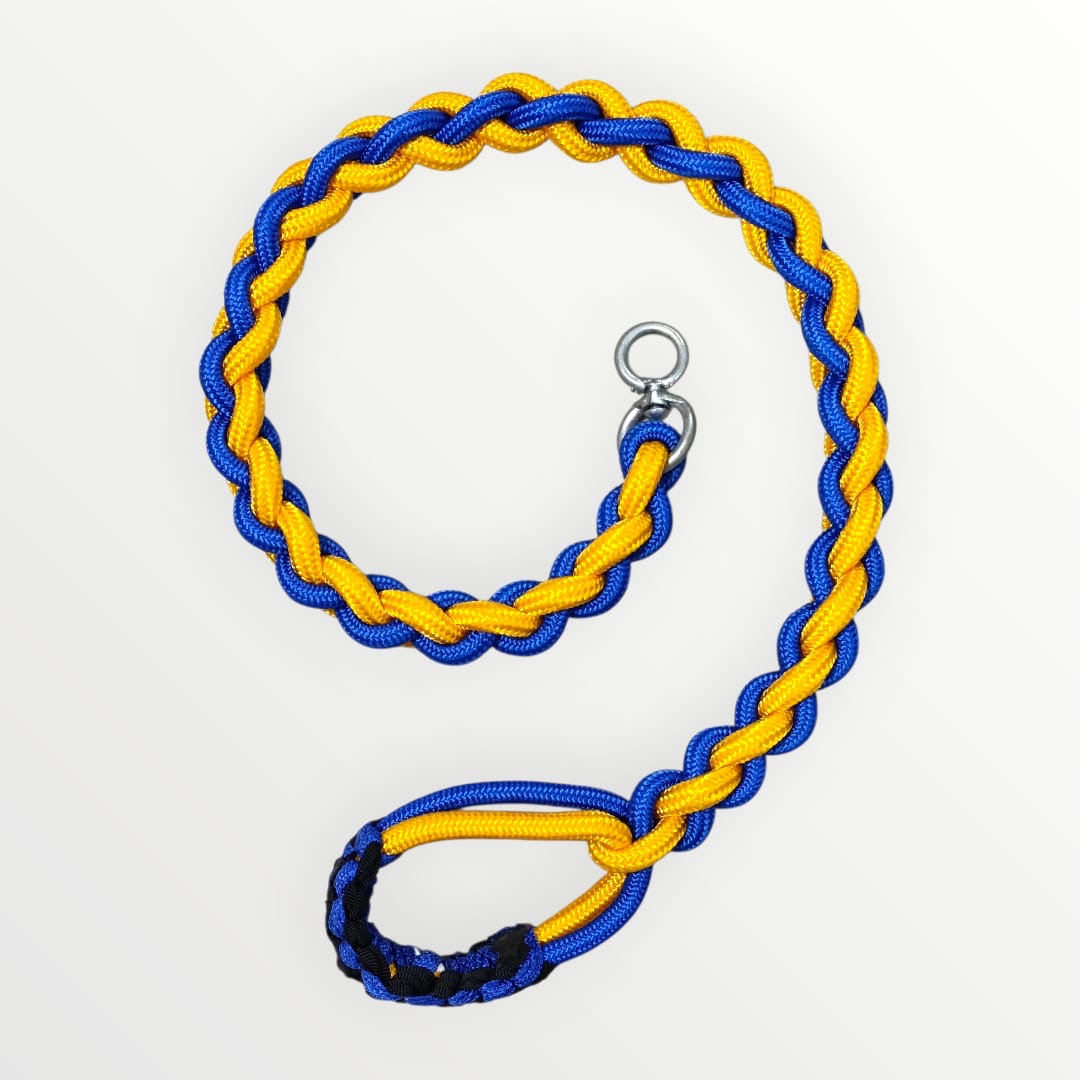 Correa gruesa trenzada bicolor