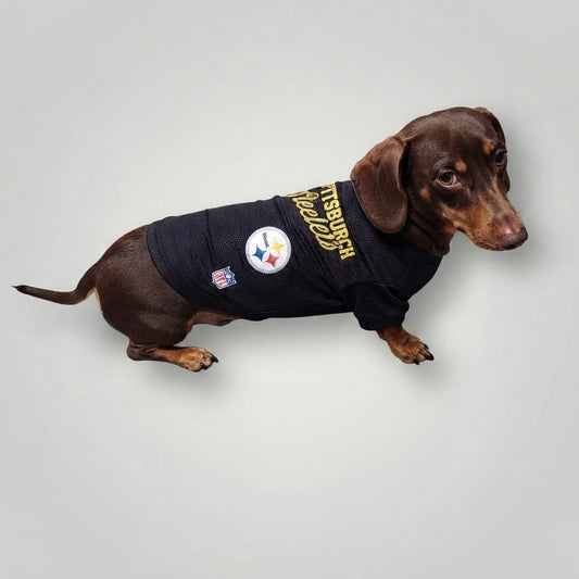 Jersey NFL Steelers