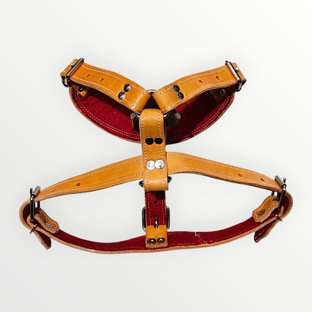 Pechera de piel colores