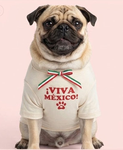 Camiseta ¡Viva México!