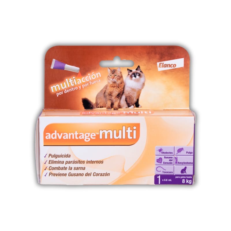 Pipeta advantage para gatos y hurones