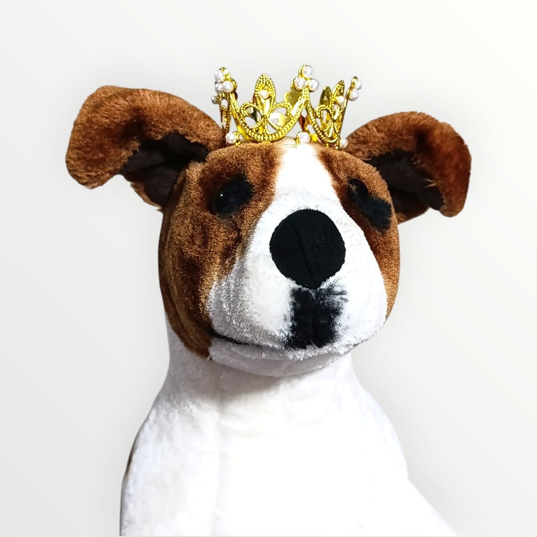 Corona dorada para mascota