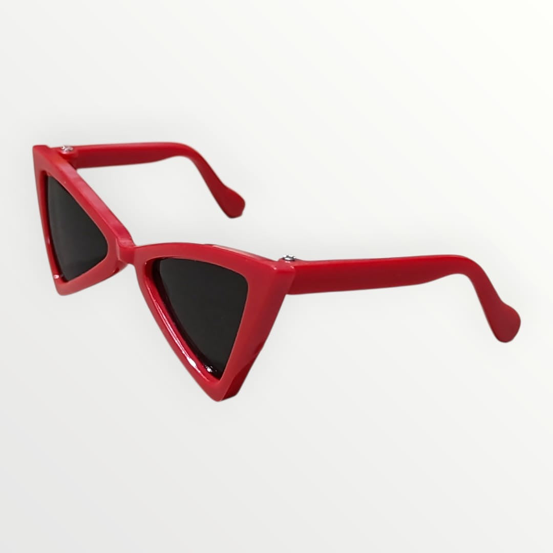 Lentes chicos para mascota