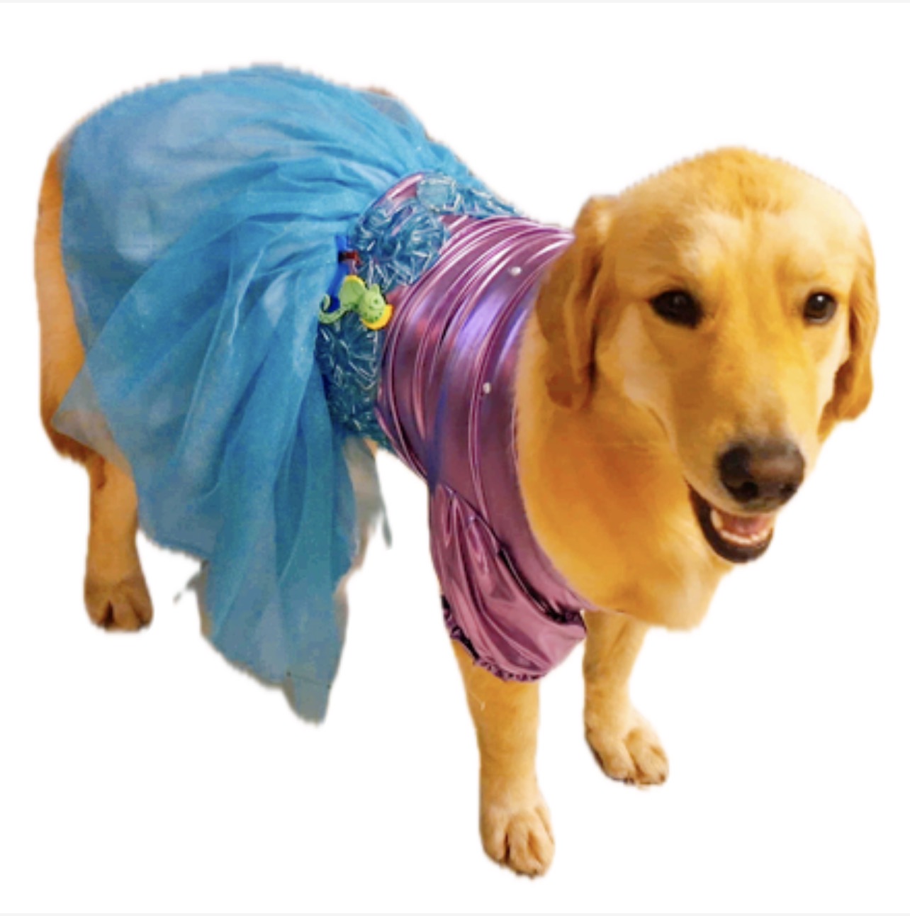 Vestido alusivo a la sirenita