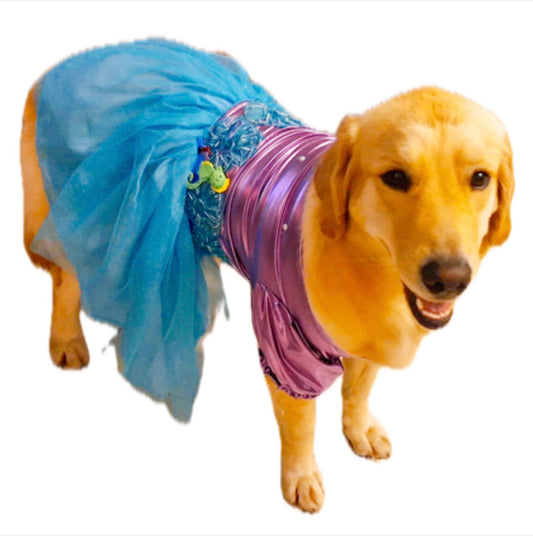 Vestido alusivo a la sirenita