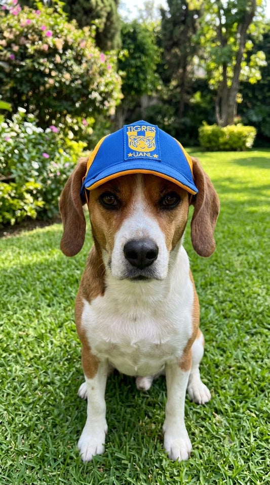 Gorra Tigres UANL