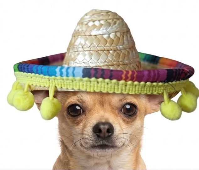 Sombrero mexicano con motitas