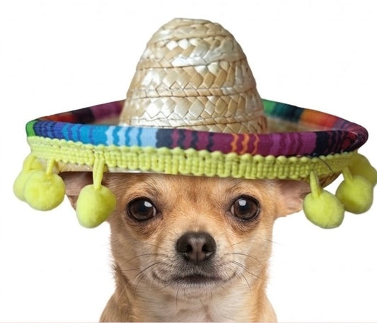 Sombrero mexicano con motitas