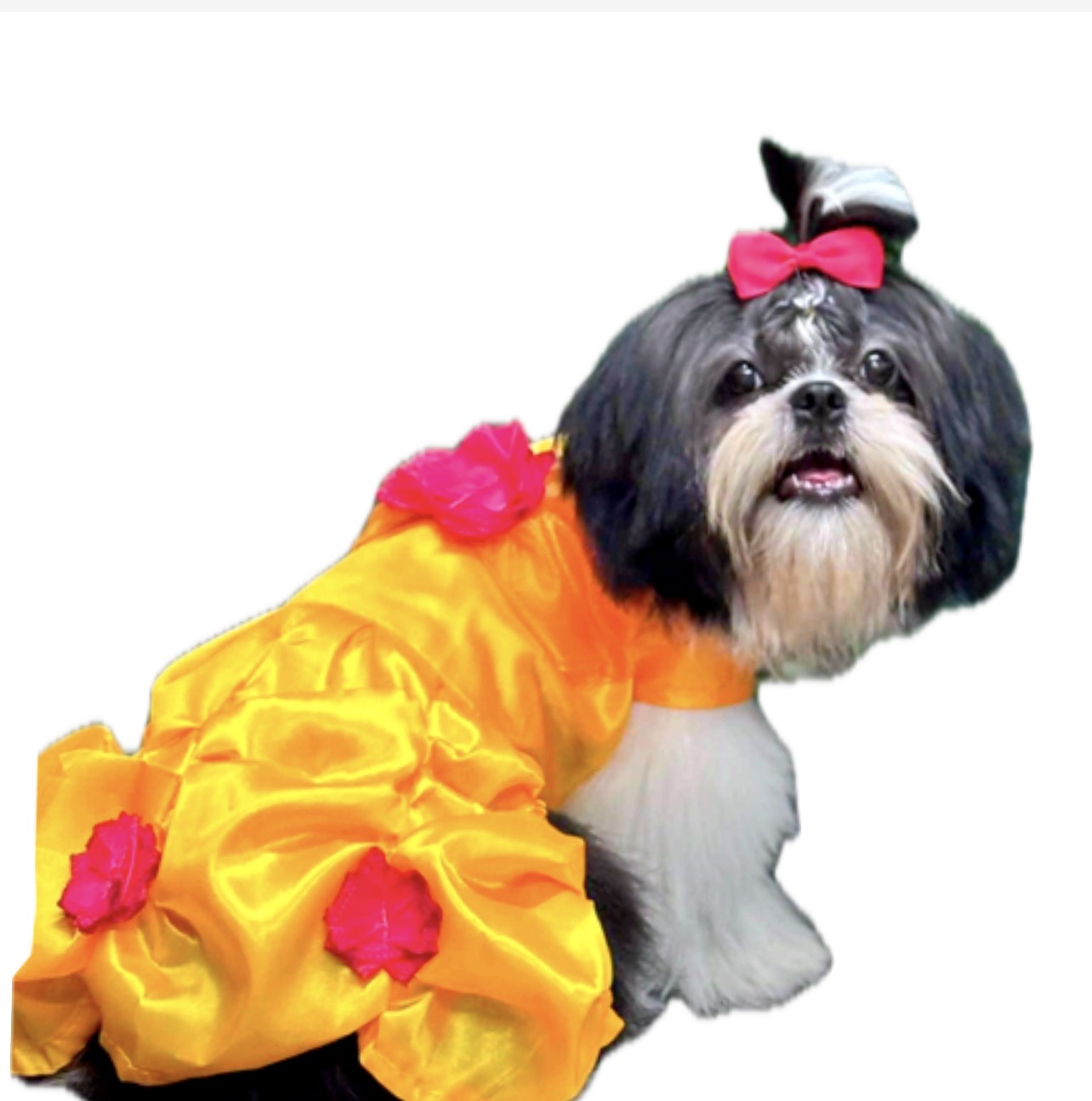 Disfraz bella y la bestia