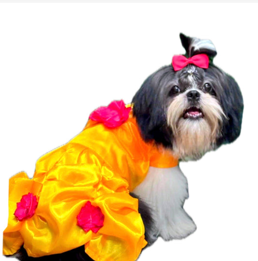 Disfraz bella y la bestia