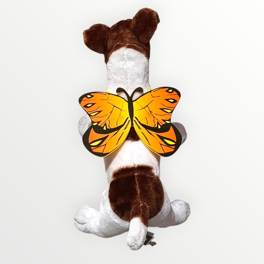 Alas de mariposa monarca para mascota