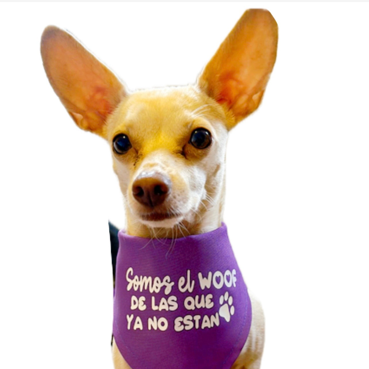 Bandana Dia de la mujer #8M