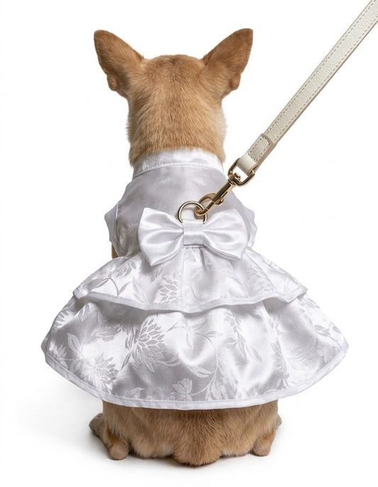 Vestido blanco con argolla