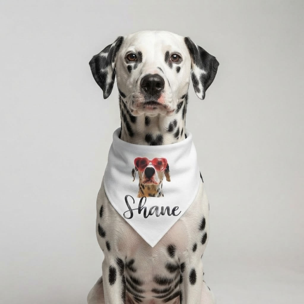 Paliacate Blanco con el nombre y foto de tu mascota