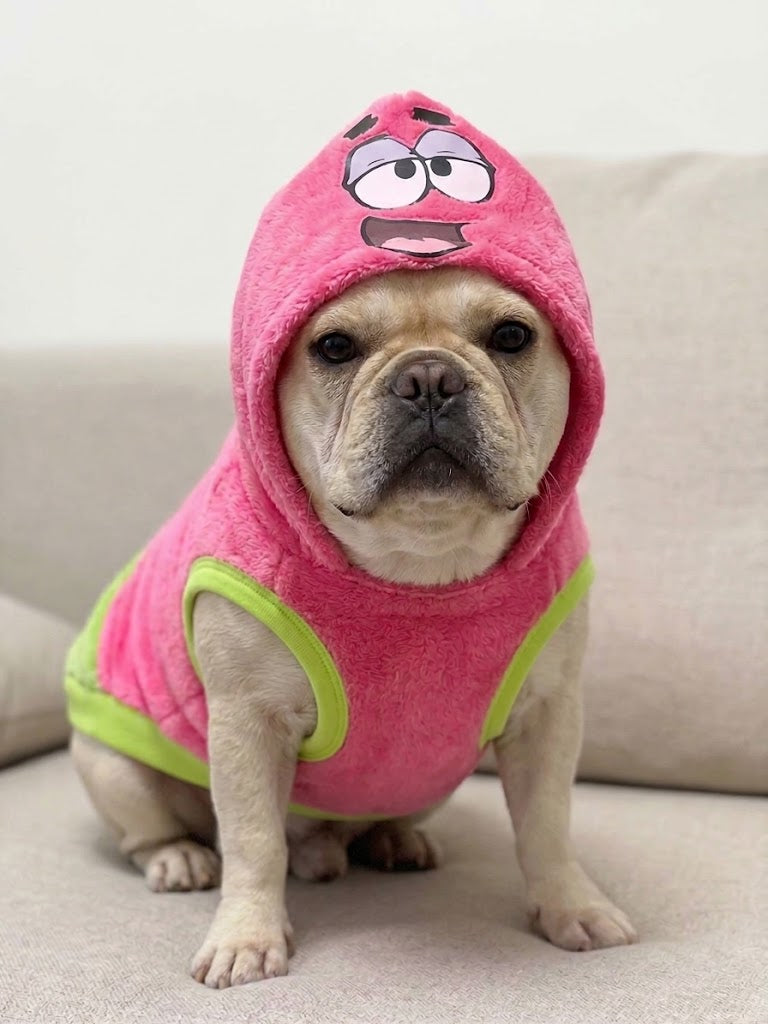 Suéter Patricio Para Mascota