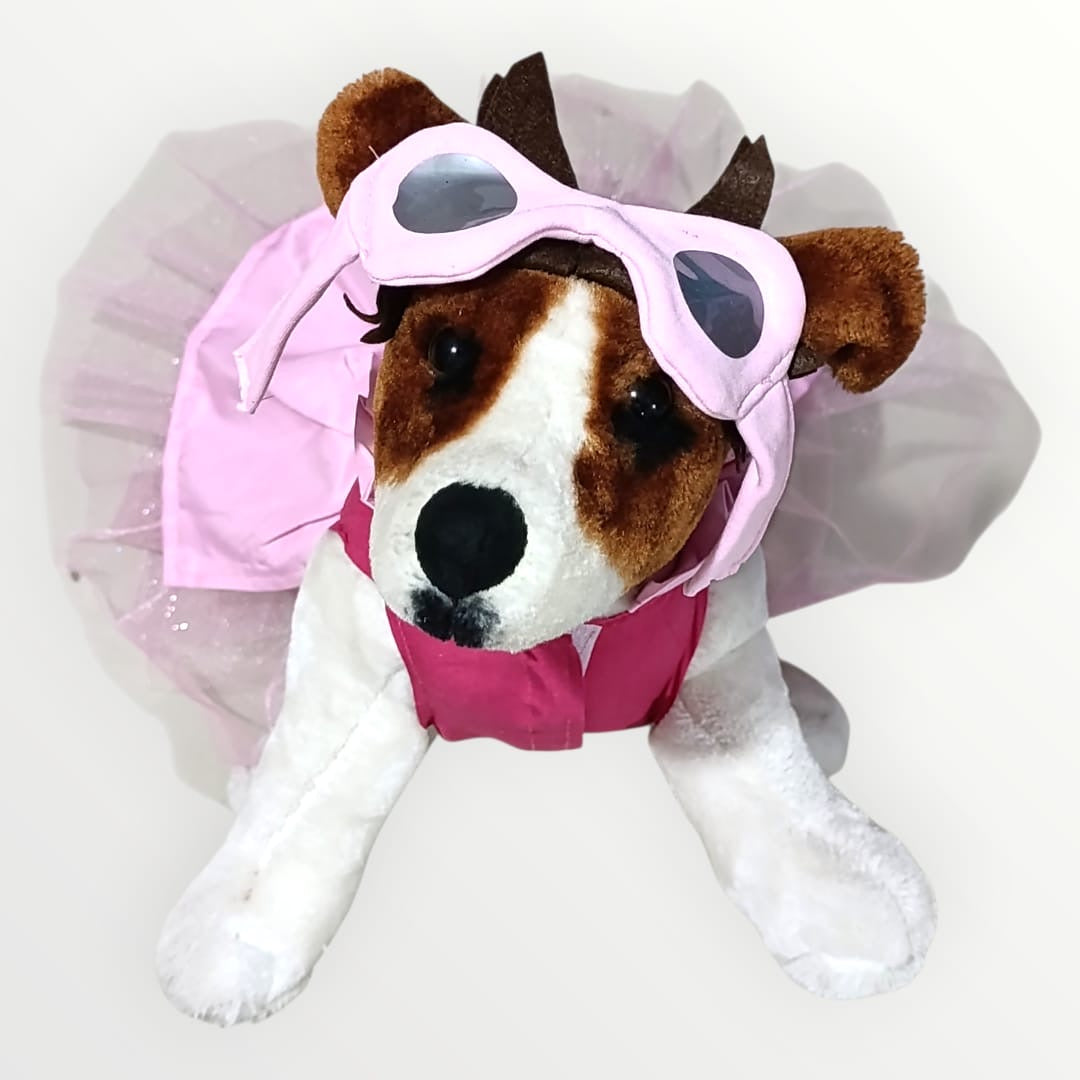 Disfraz de Skye Paw Patrol