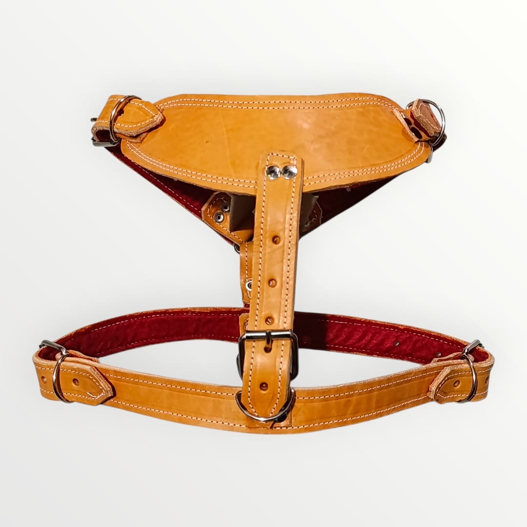 Pechera de piel colores