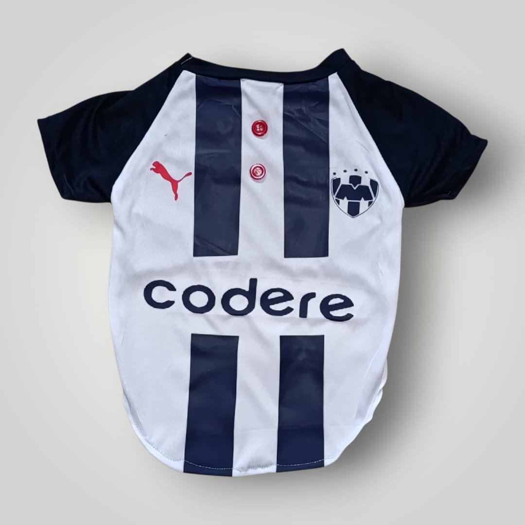 Jersey de Rayados diseño Codere