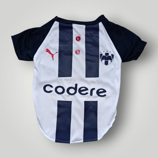 Jersey de Rayados diseño Codere