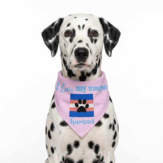 Bandana PRIDE trans