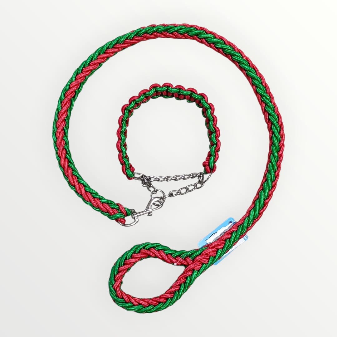Collar con correa trenzado
