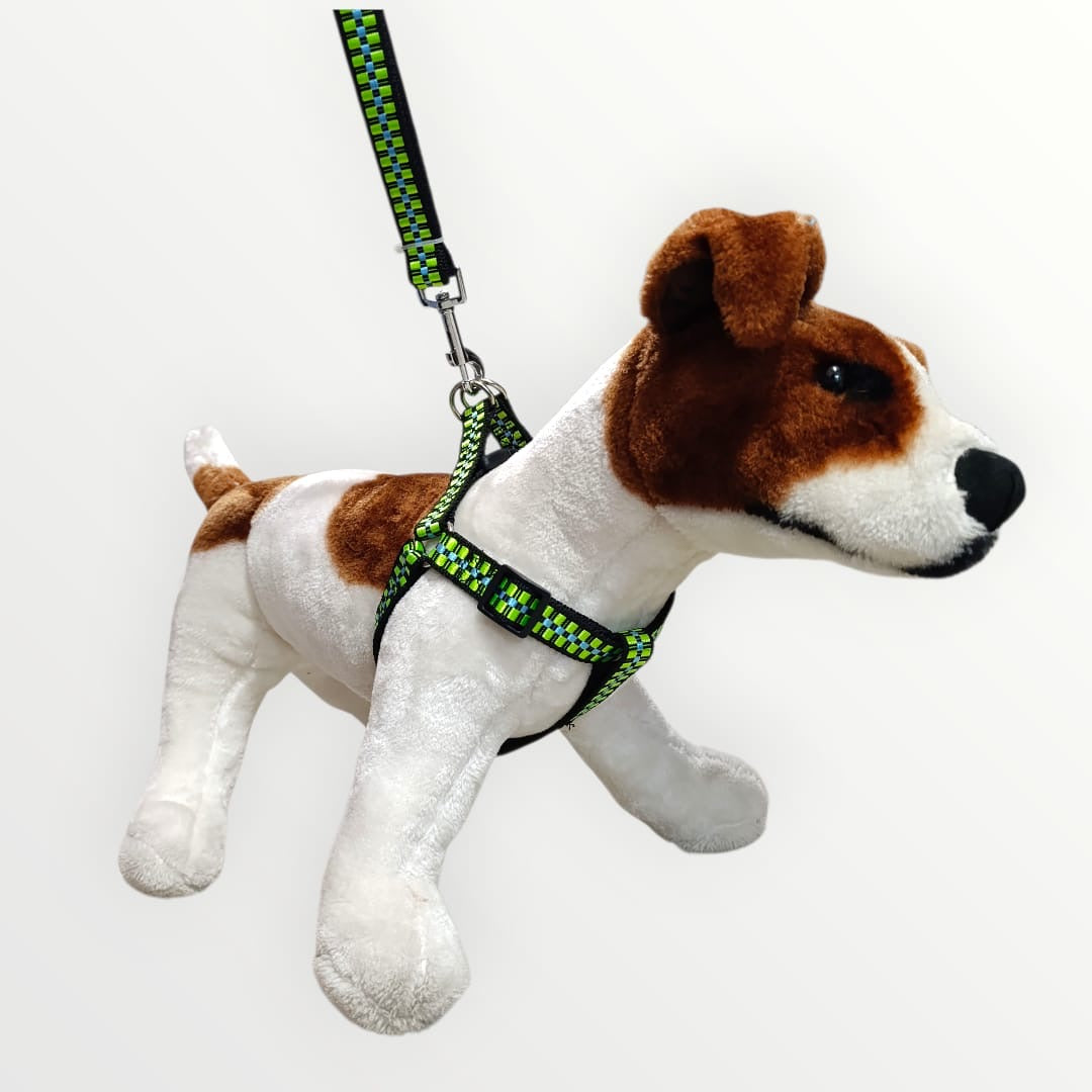 Pechera sencilla con correa